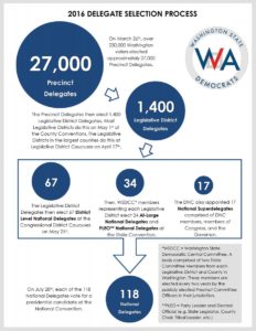 2016 - DNC - The 2016 Delegate Selection Process - Infographic_0